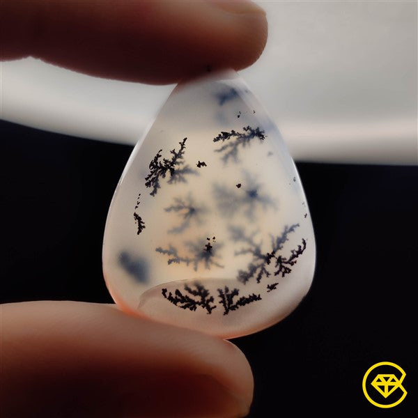 Dendritic Agate