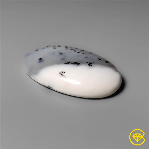 Dendritic Agate