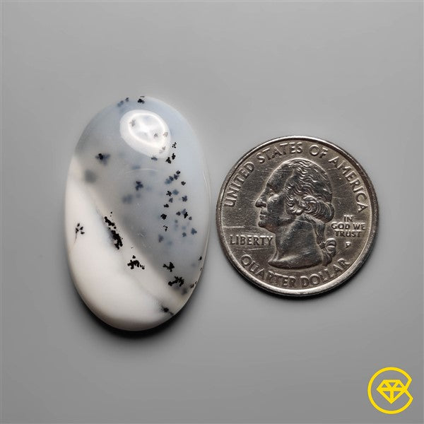 Dendritic Agate