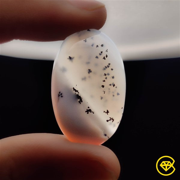 Dendritic Agate