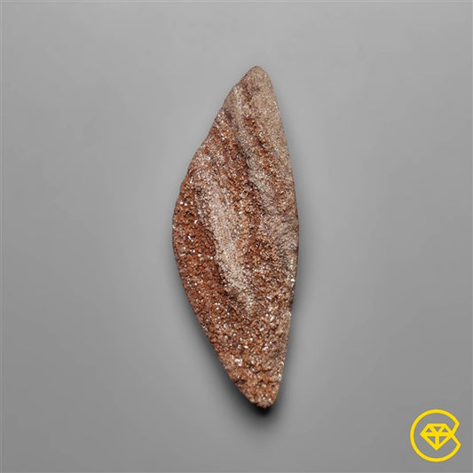 Petrified Wood