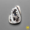 Dendritic Agate