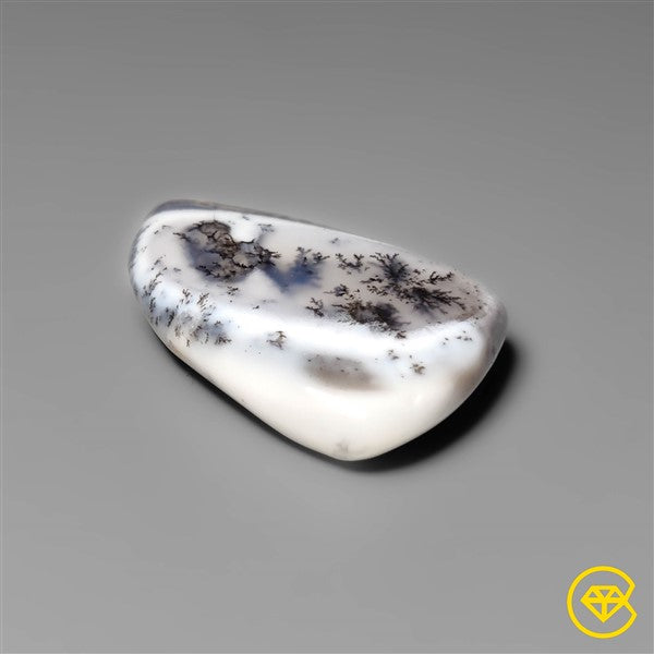 Dendritic Agate