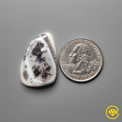 Dendritic Agate