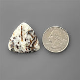 Astrophyllite