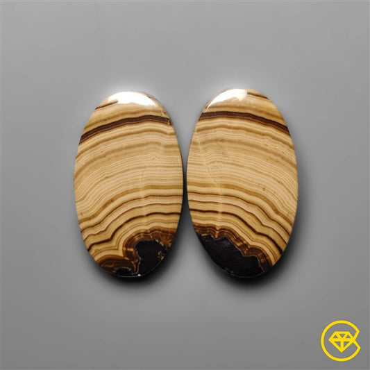 Schalenblende