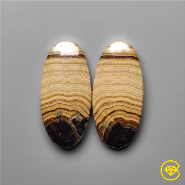 Schalenblende