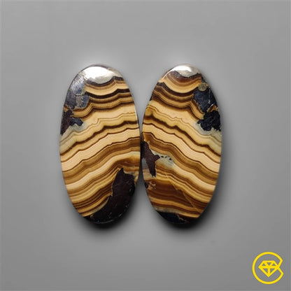 Schalenblende