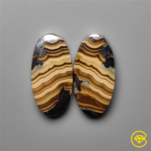 Schalenblende