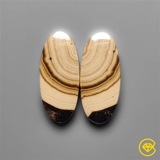 Schalenblende