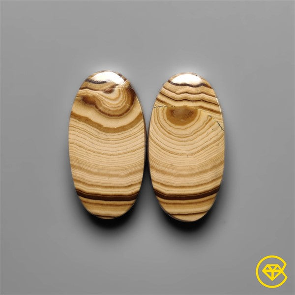 Schalenblende