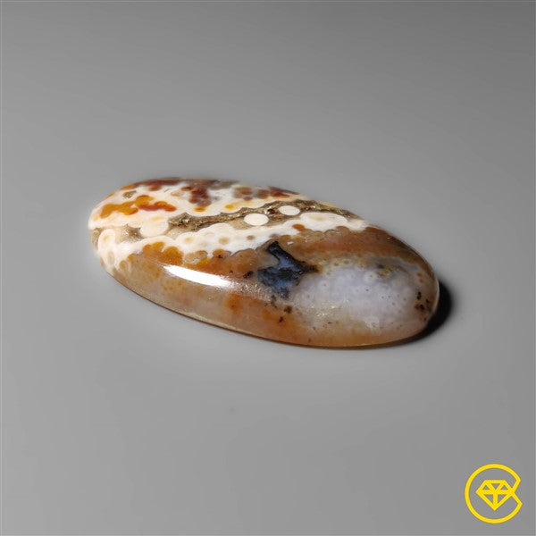 Ocean Jasper
