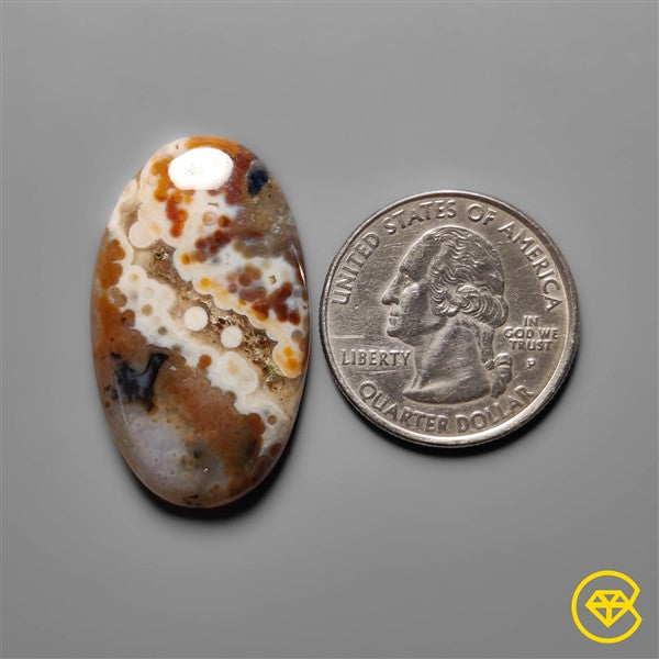 Ocean Jasper