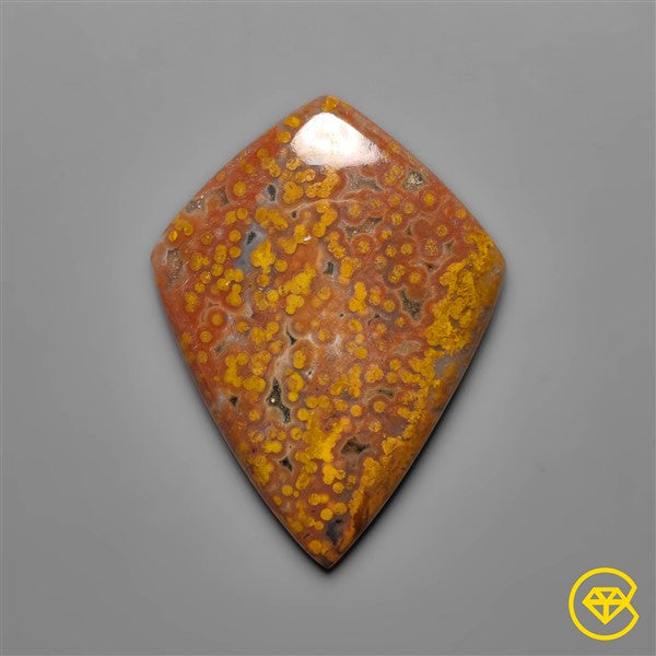 Ocean Jasper