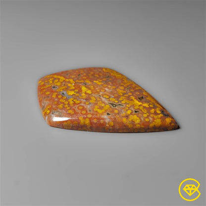 Ocean Jasper