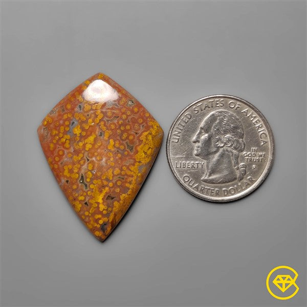Ocean Jasper