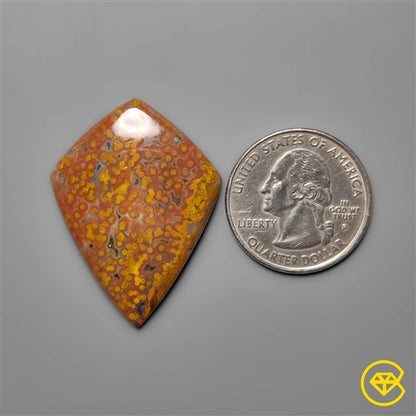 Ocean Jasper