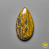 Ocean Jasper