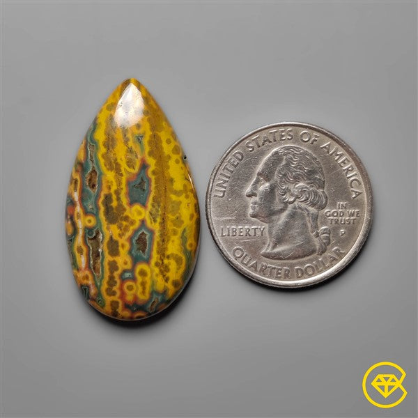 Ocean Jasper