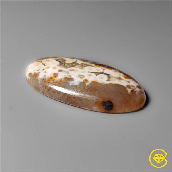Ocean Jasper