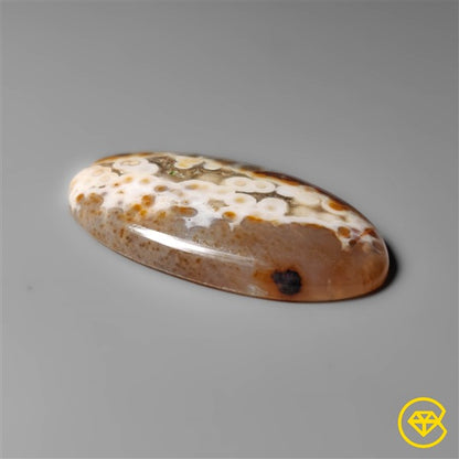 Ocean Jasper