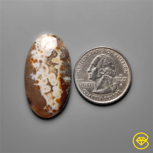 Ocean Jasper