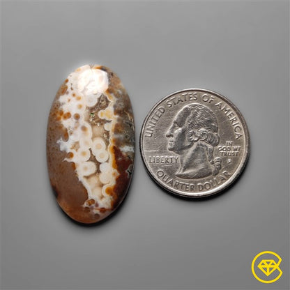 Ocean Jasper