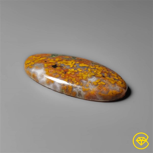 Ocean Jasper