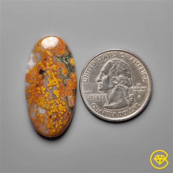 Ocean Jasper