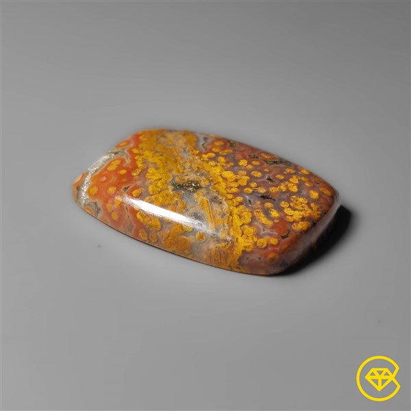 Ocean Jasper