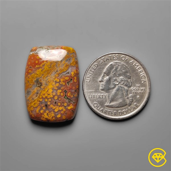 Ocean Jasper