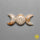 Fossil Coral