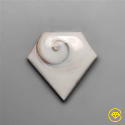 Shiva Eye Shell