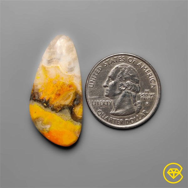 Bumble Bee Jasper