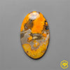 Bumble Bee Jasper