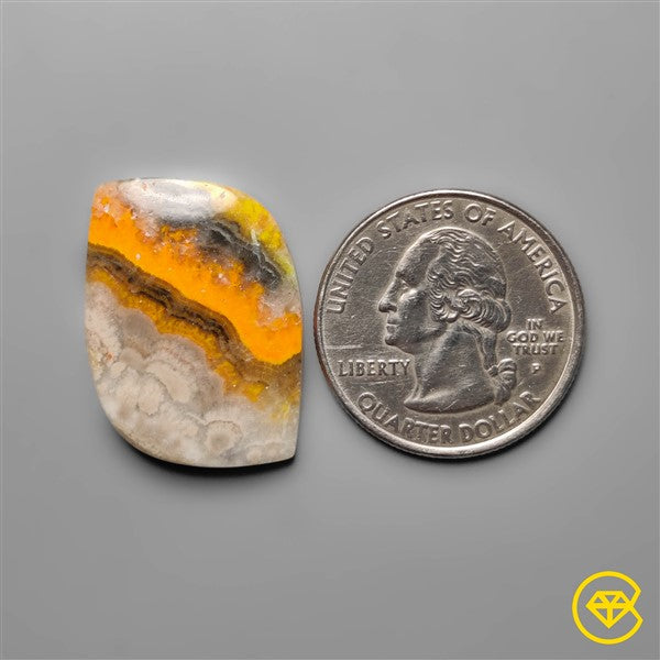 Bumble Bee Jasper
