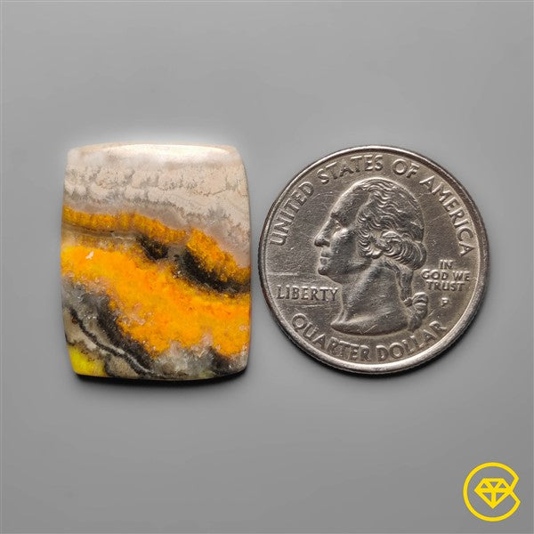 Bumble Bee Jasper