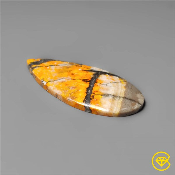 Bumble Bee Jasper