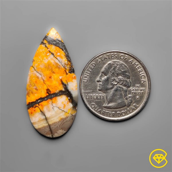 Bumble Bee Jasper