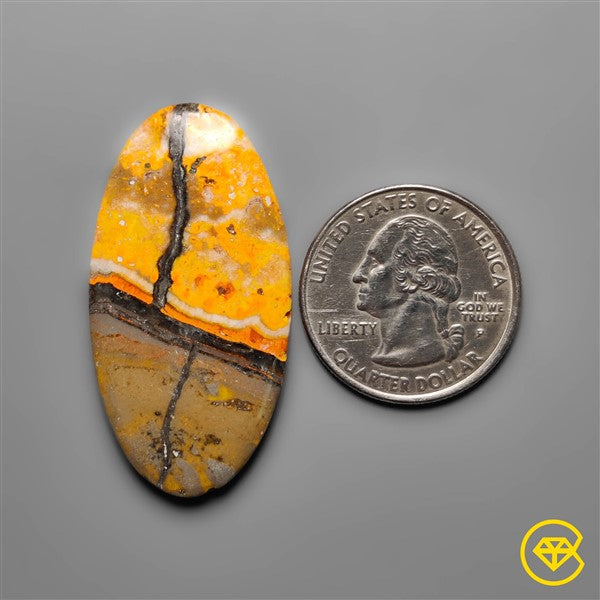 Bumble Bee Jasper