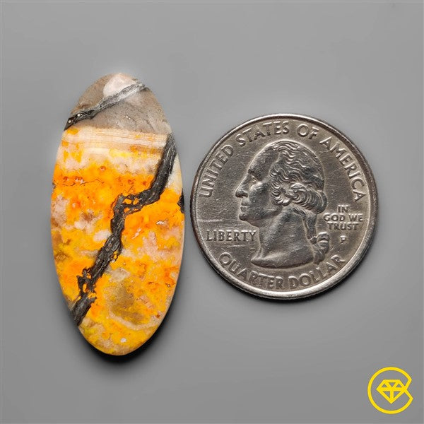 Bumble Bee Jasper