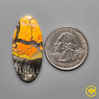 Bumble Bee Jasper