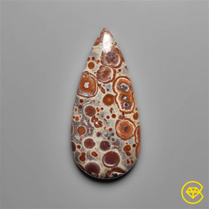 Mexican Asteroid Jasper