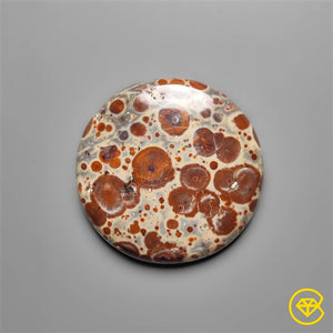 Mexican Asteroid Jasper