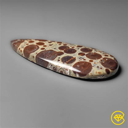 Asteroid Jasper