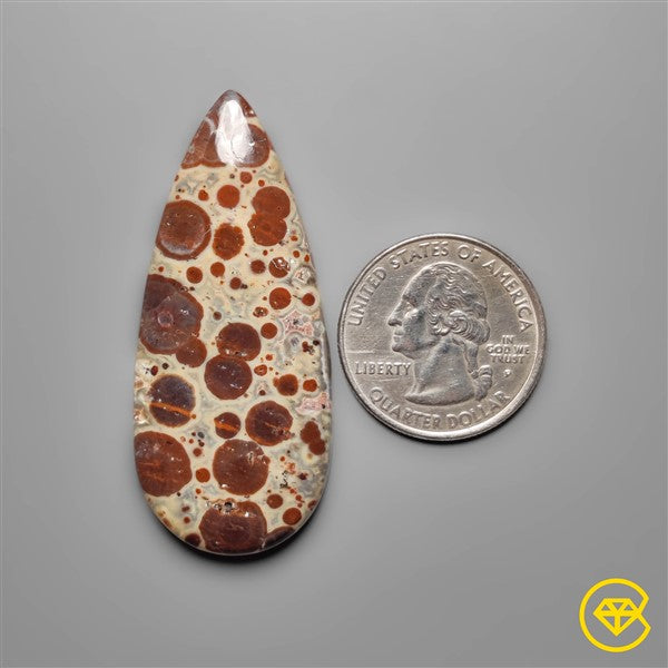 Asteroid Jasper
