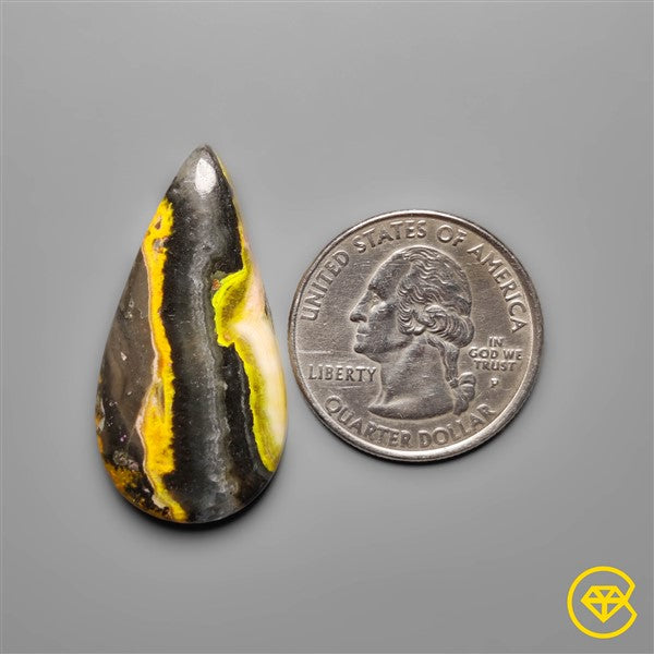 Bumble Bee Jasper