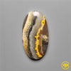 Bumble Bee Jasper