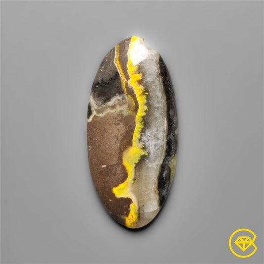 Bumble Bee Jasper