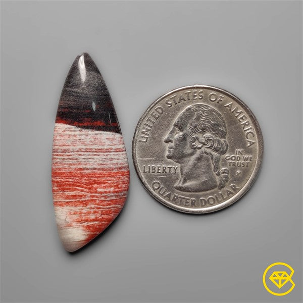 Snakeskin Jasper